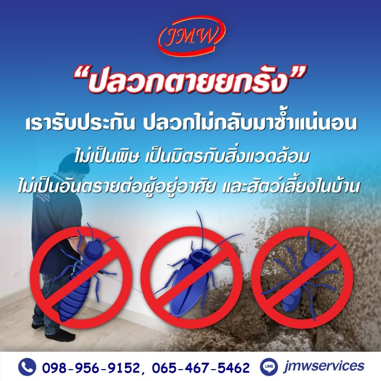 ร บแจ งป ญหาปลวกข นบ าน กำจ ดปลวกผ อน 0 ไม ต องใช บ ตร เจ เอ ม ด บบล ว เซอร ว ส
